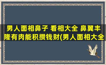 男人面相鼻子 看相大全 鼻翼丰隆有肉能积攒钱财(男人面相大全：鼻翼丰隆有肉，暗示积攒钱财之相！)